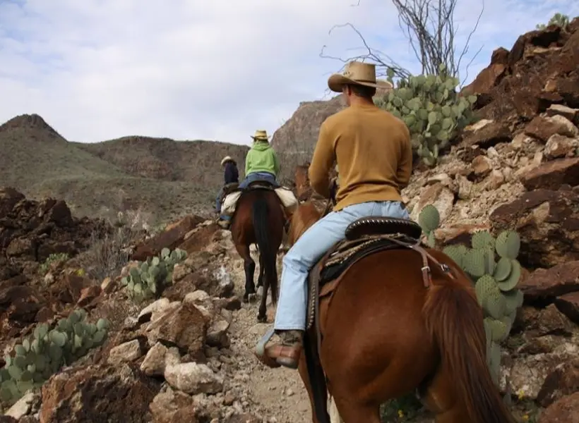 Big Bend Work-08